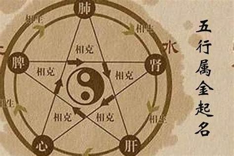 什么是姓名的五行算命,姓名和五行之间有什么联系,第9张 什么是姓名的五行算命,姓名和五行之间有什么联系,第9张